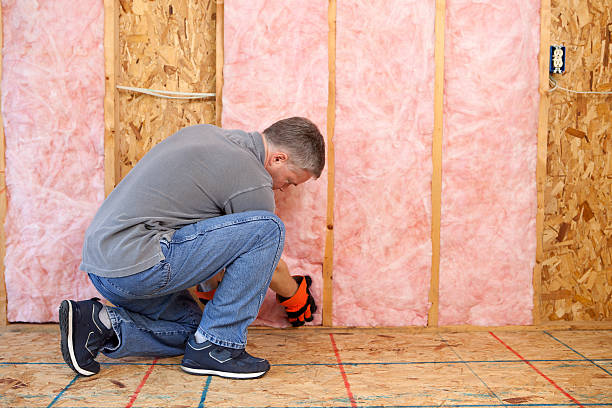 Best Insulation Maintenance and Repair in Cimarron, KS